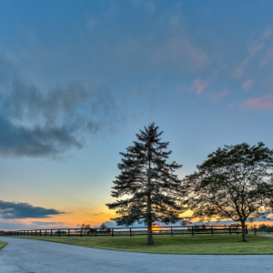 _E8A0480_1_2