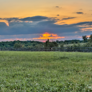 _E8A0483_4_5