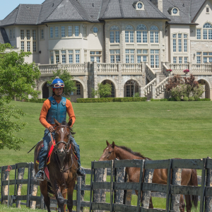 Equestrian-0218