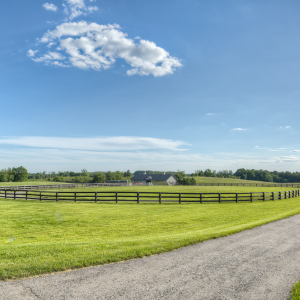 Equestrian-0358