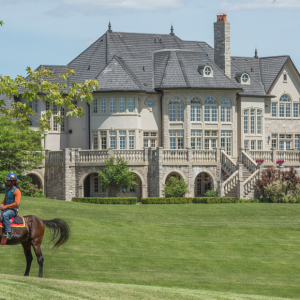HouseWithHorse
