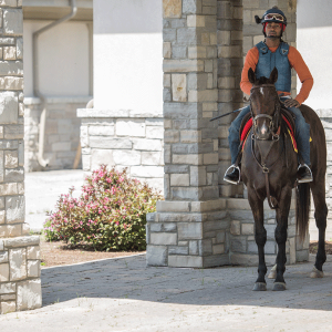 Equestrian-0141
