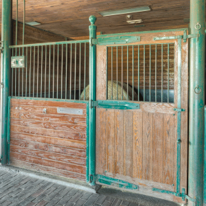 Equestrian-0401