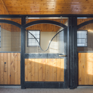 Equestrian-0416