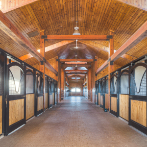 Equestrian-0421