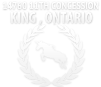 Luxurious Horse Estate in the Heart of King, ON